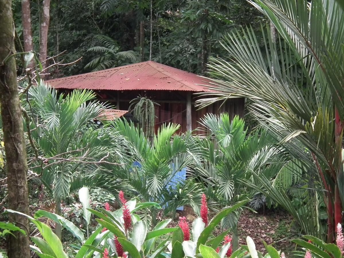 San Gerardo Hotel Valle Azul الغرفة الصورة