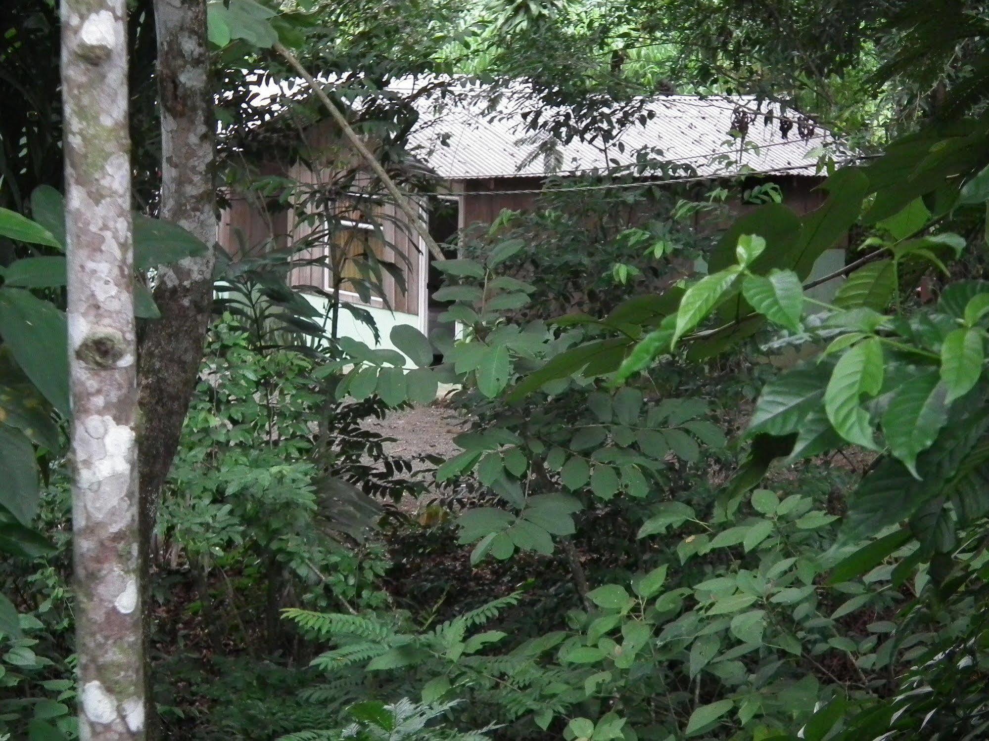 San Gerardo Hotel Valle Azul المظهر الخارجي الصورة